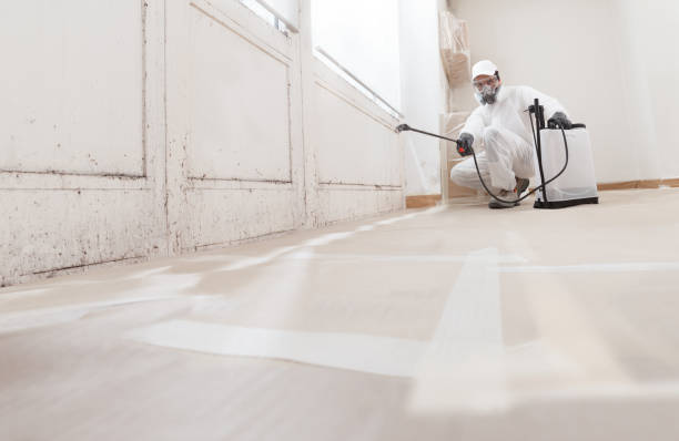 24/7 Emergency Mold Remediation experts in Round Hill, VA