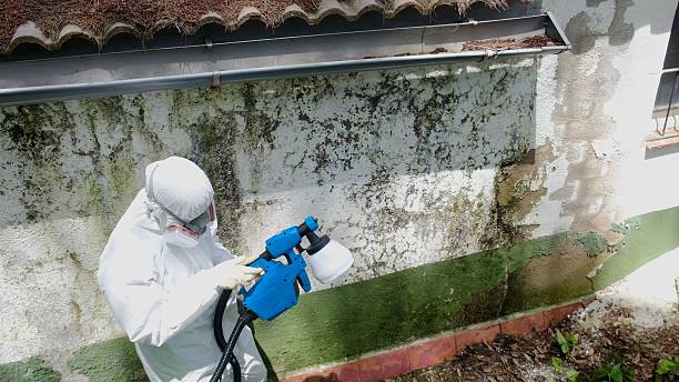 Top rated local Mold Remediation specialists in Round Hill, VA